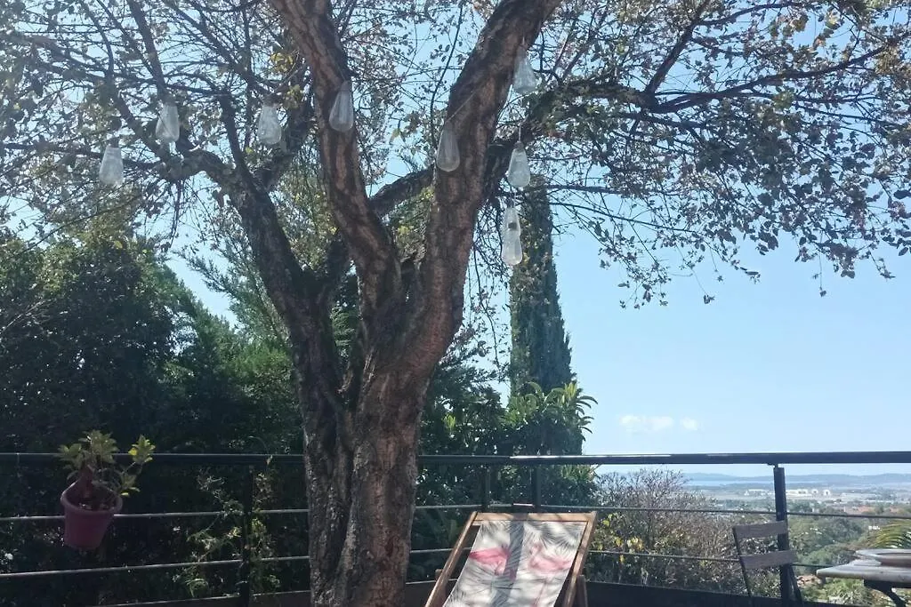 T2 Terrasse Arboree Vue Mer Hyères Daire